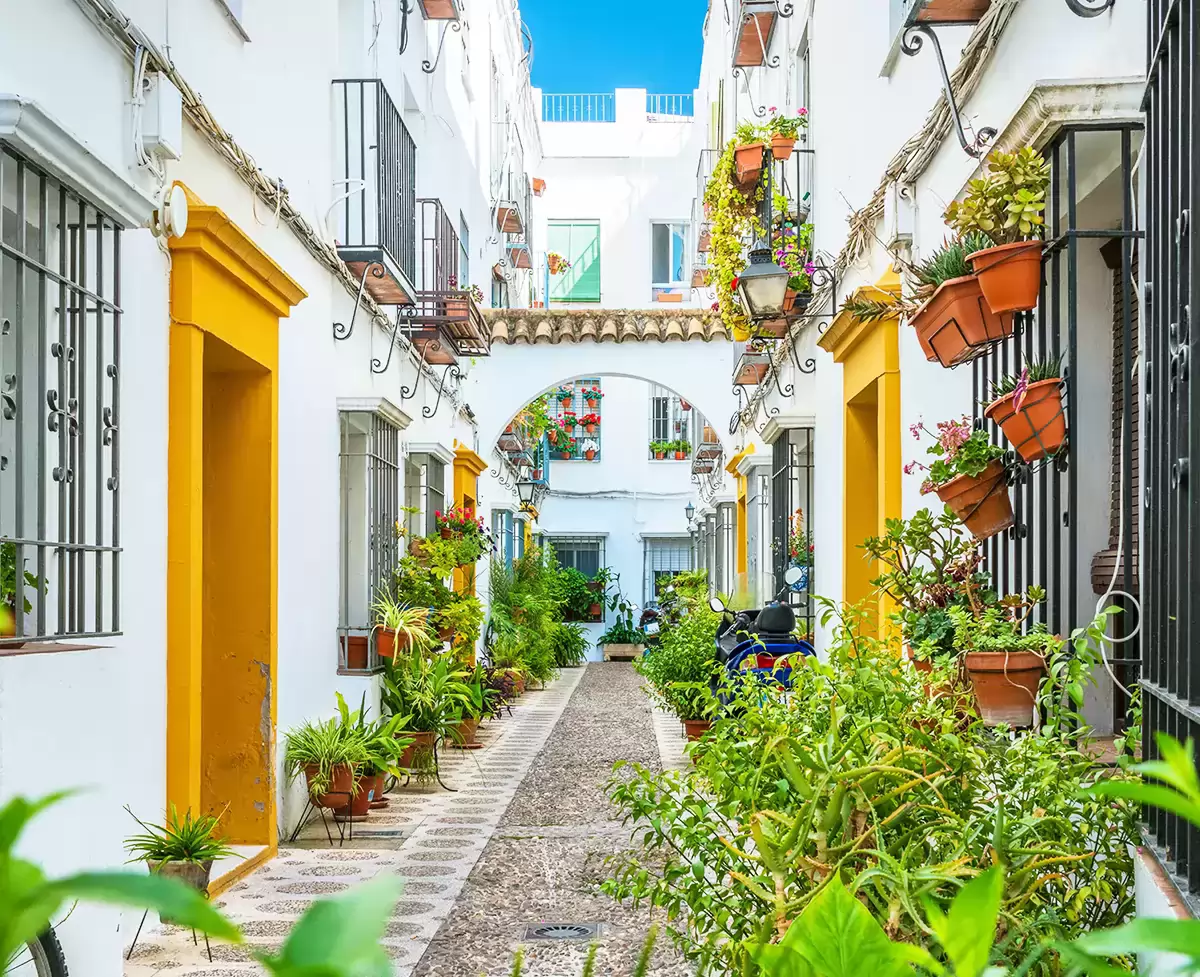 Callejón de la Judería con patios cordobeses